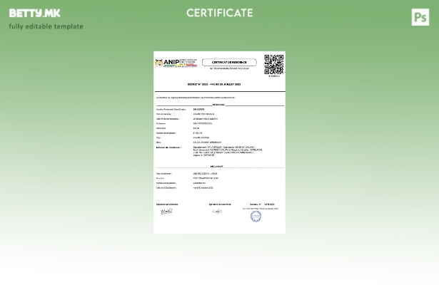 Модерен стил Бенин ANIP Национална агенција за идентификација на лица за уверени